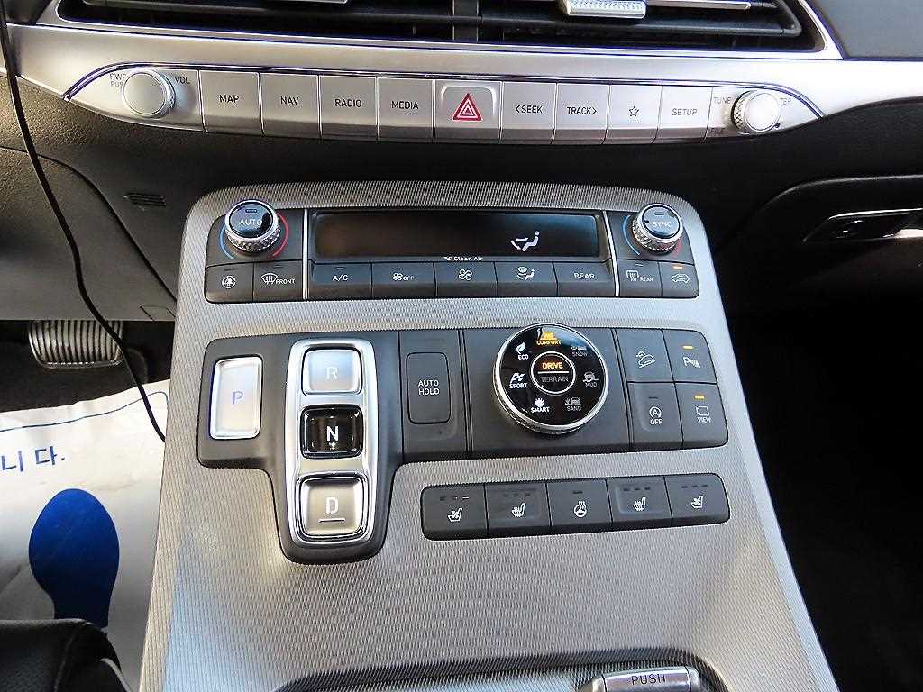 HYUNDAI Palisade - Vista 10