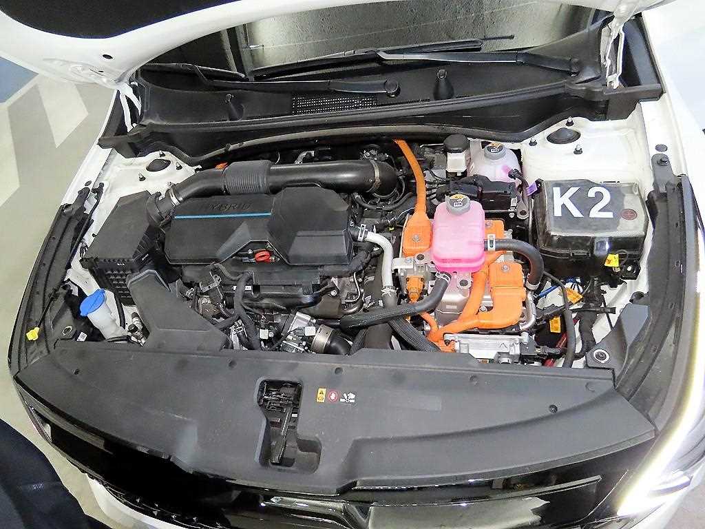 KIA Sportage 2024 Blanco - Importación desde Corea - HF Imports Iquique - Foto 19