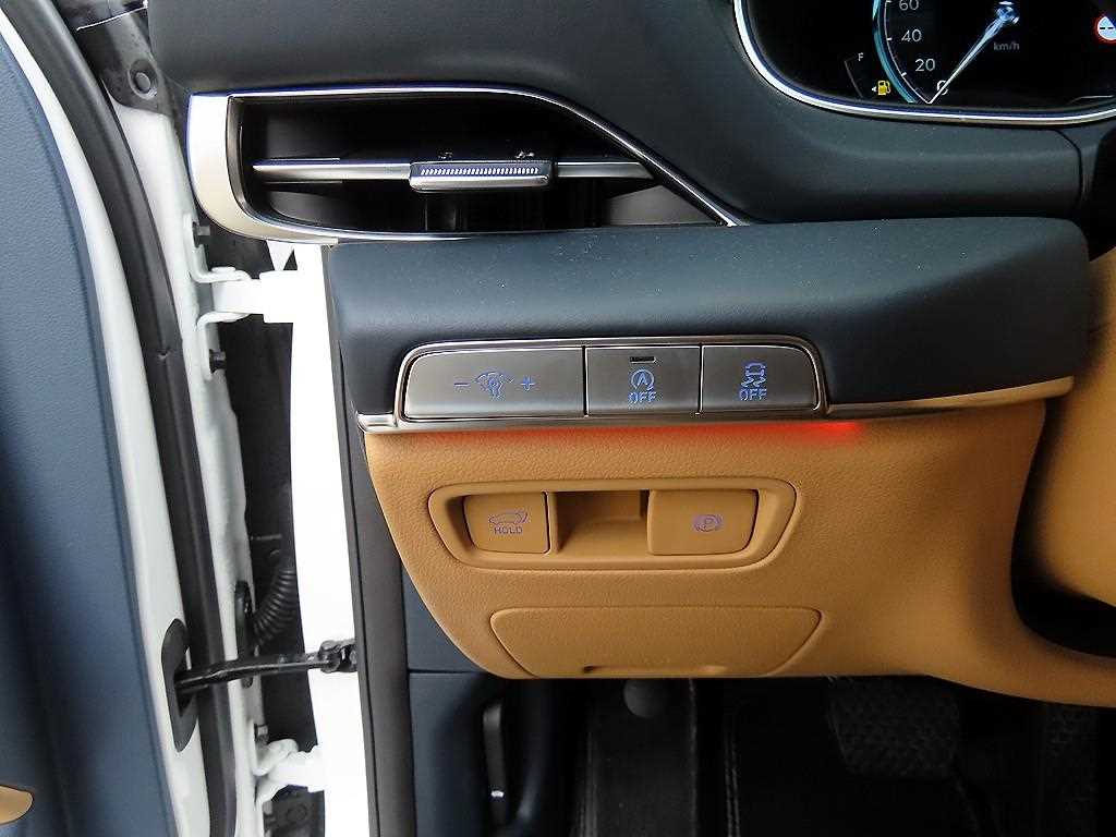 Genesis GV80 - Vista 12
