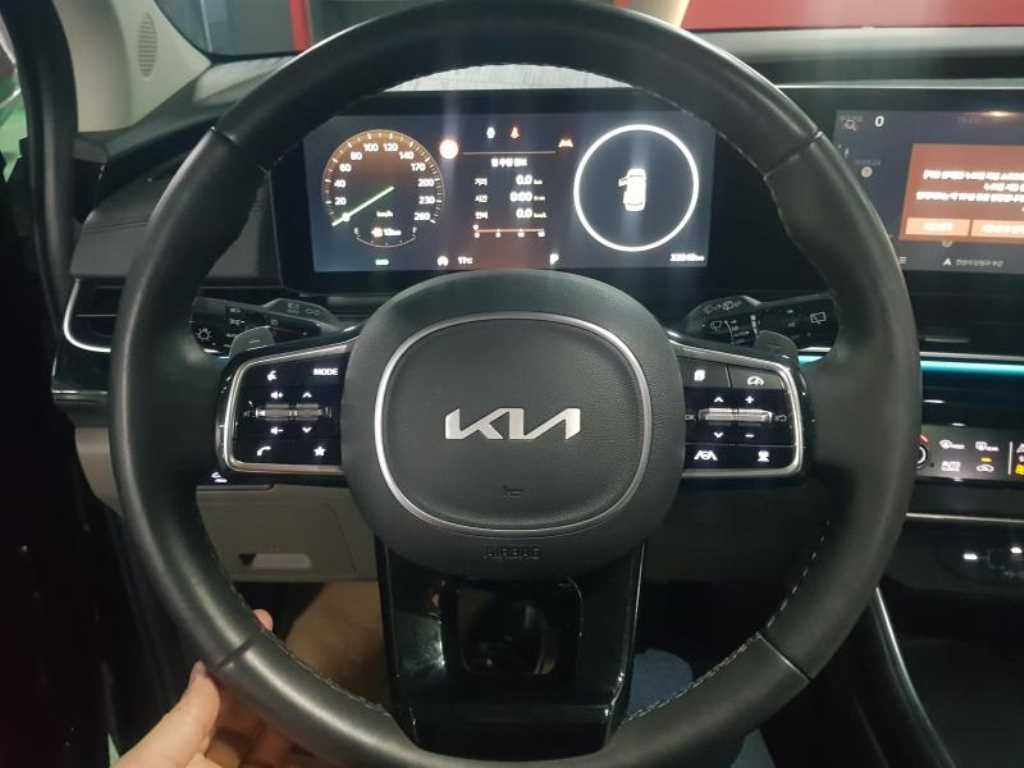 KIA Carnival - Vista 12
