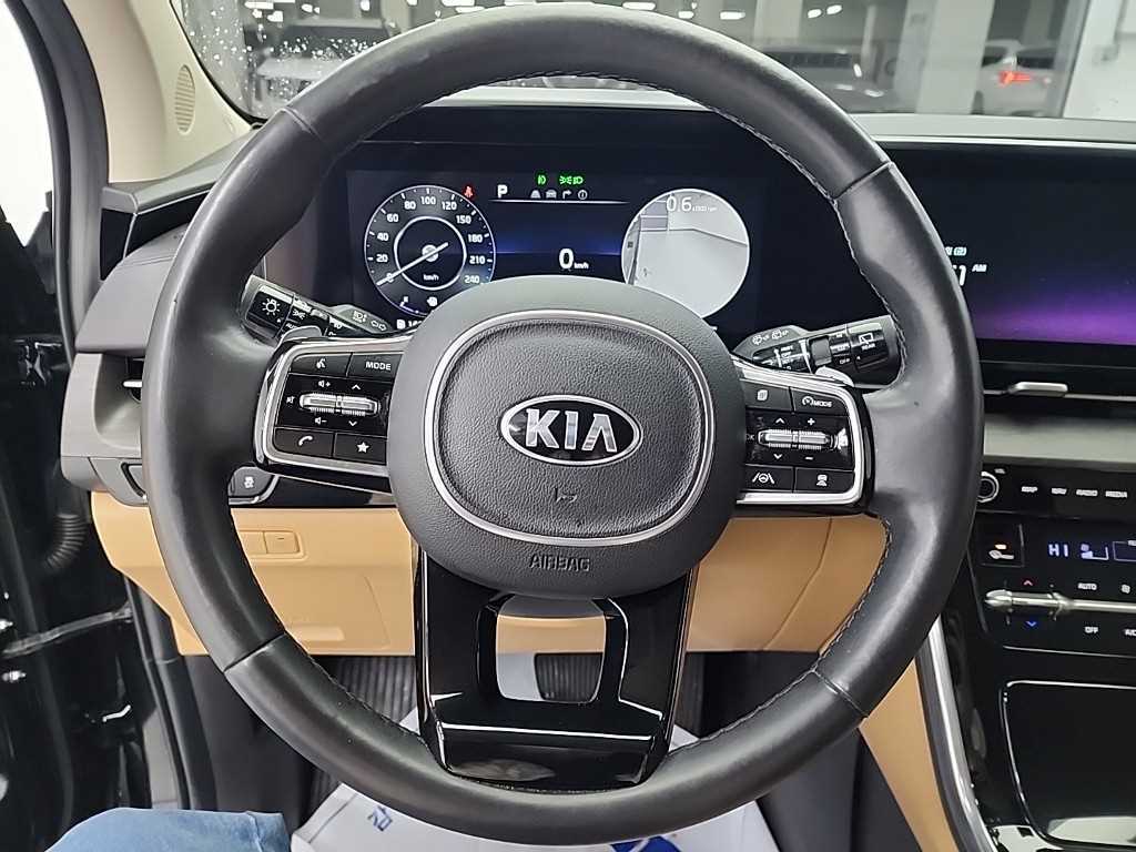 KIA Carnival - Vista 9