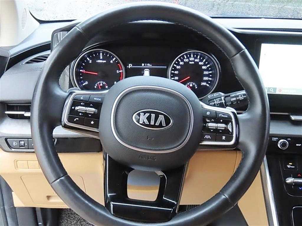 KIA Carnival - Vista 10