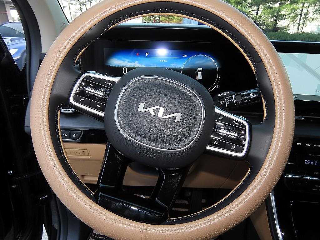 KIA Carnival - Vista 8