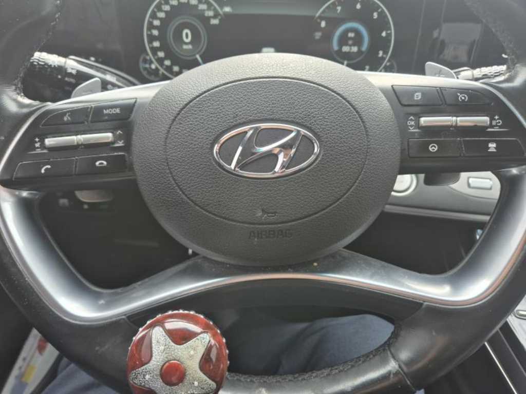 HYUNDAI Grandeur - Vista 10