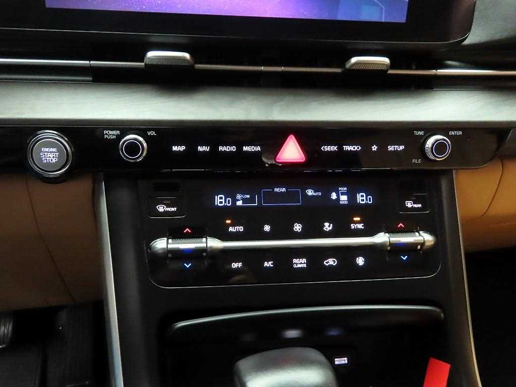 KIA Carnival - Vista 10