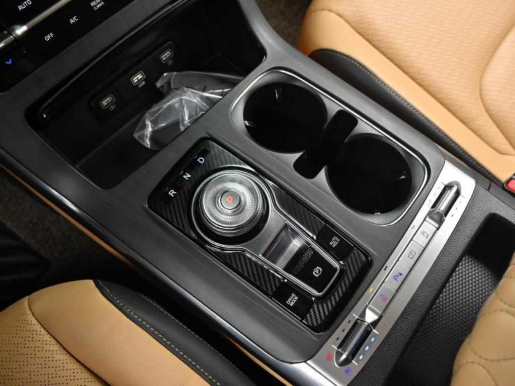 KIA Carnival - Vista 9