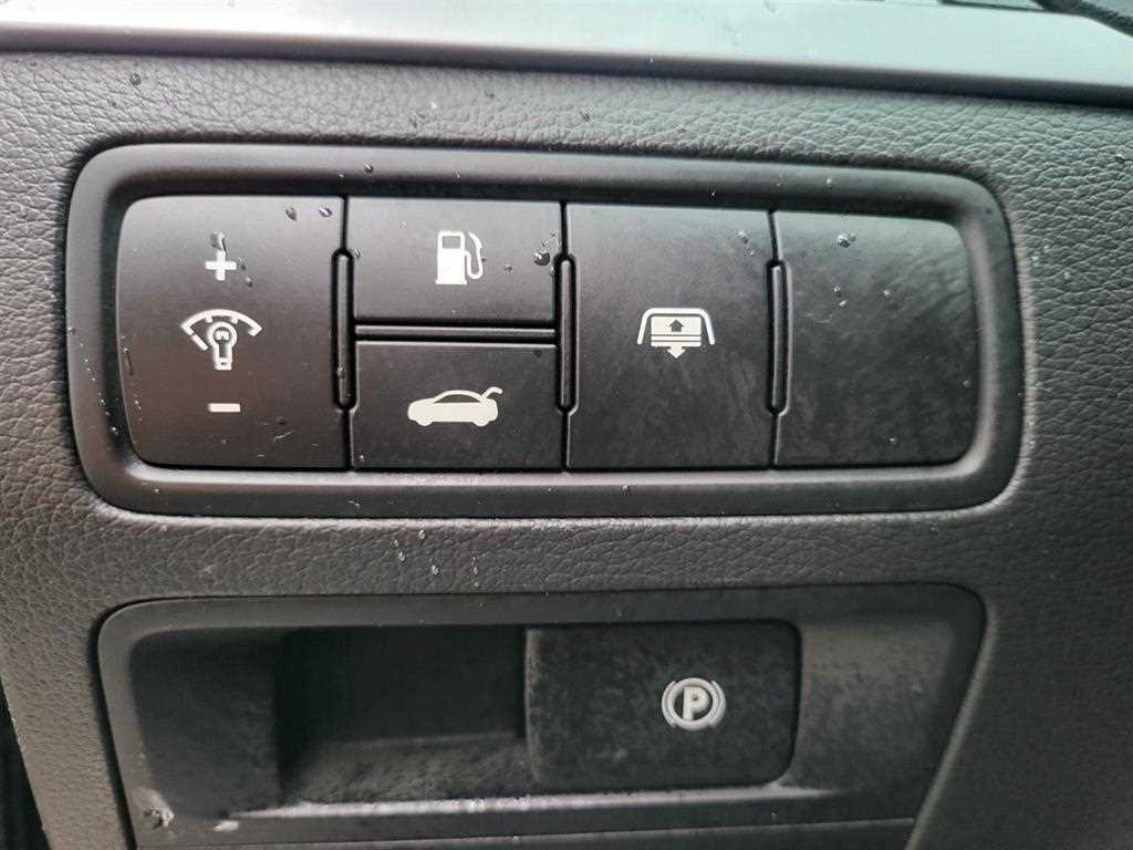 HYUNDAI Genesis - Vista 12
