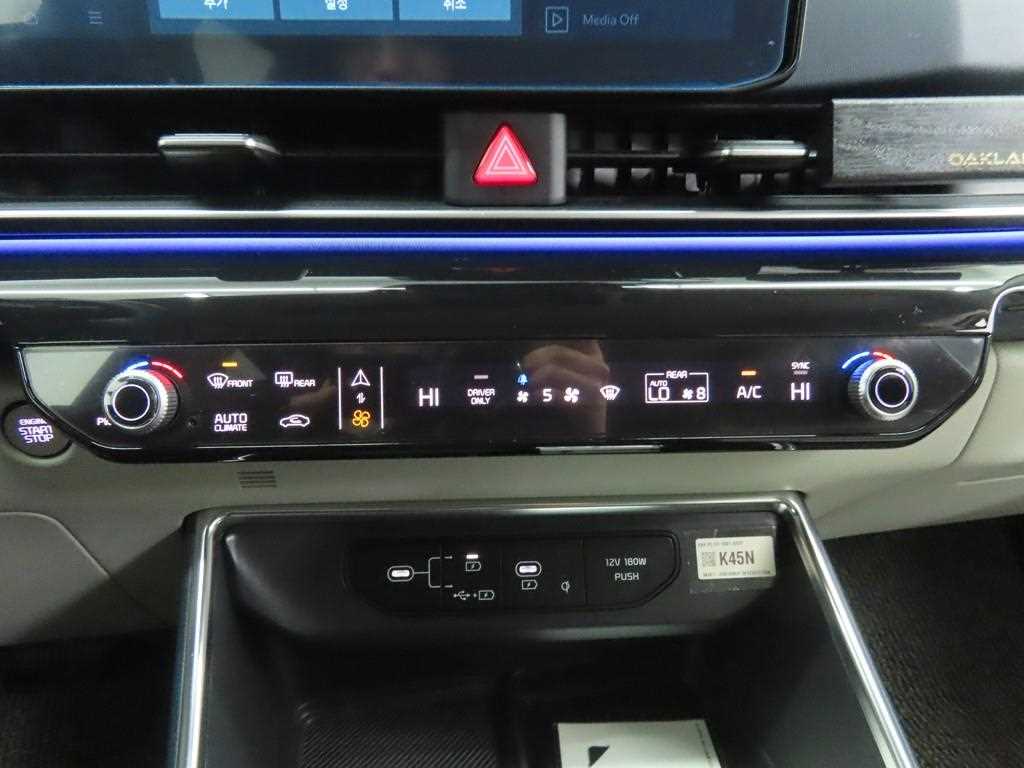 KIA Carnival - Vista 11