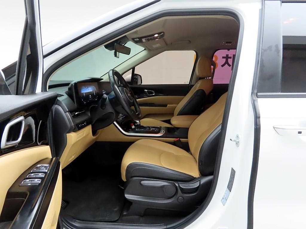 KIA Carnival - Vista 12