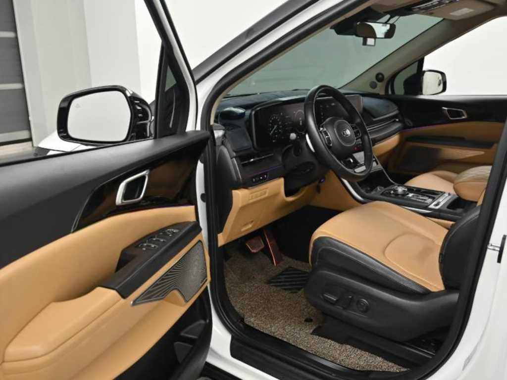 KIA Carnival - Vista 11