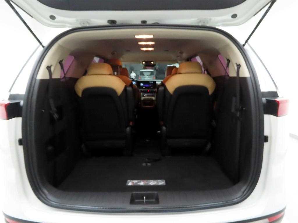 KIA Carnival - Vista 5