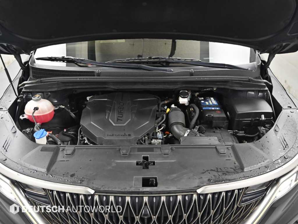 KIA Carnival - Vista 6