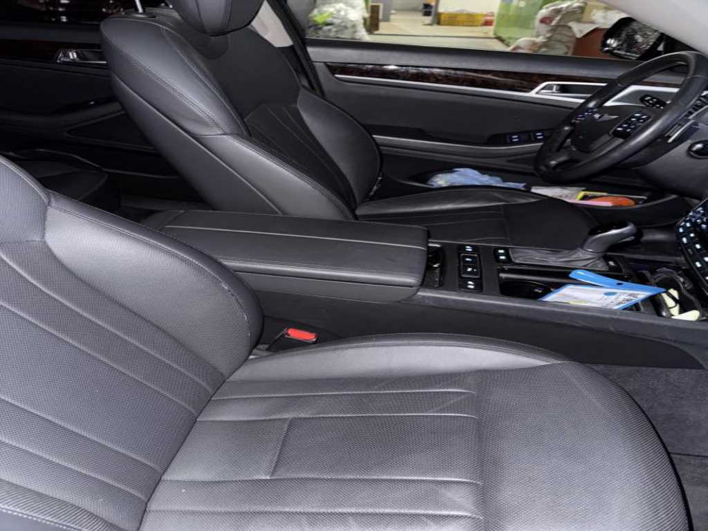 HYUNDAI Genesis - Vista 5