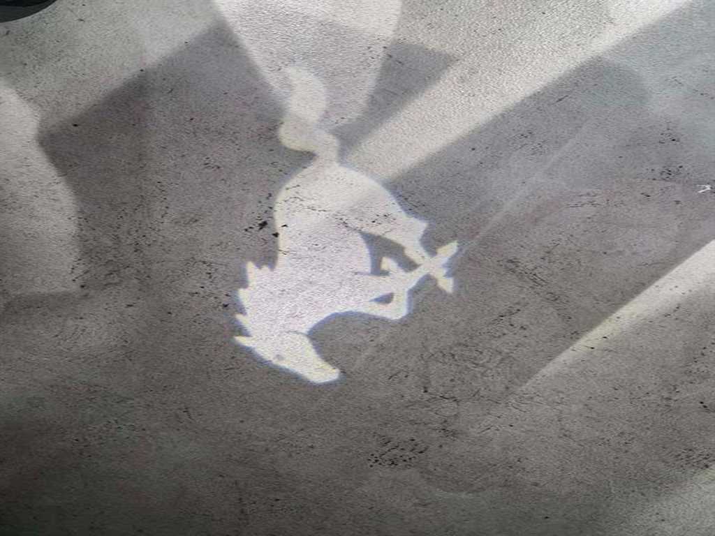 Ford Mustang 2018 Blanco - Importación desde Corea - HF Imports Iquique - Foto 15