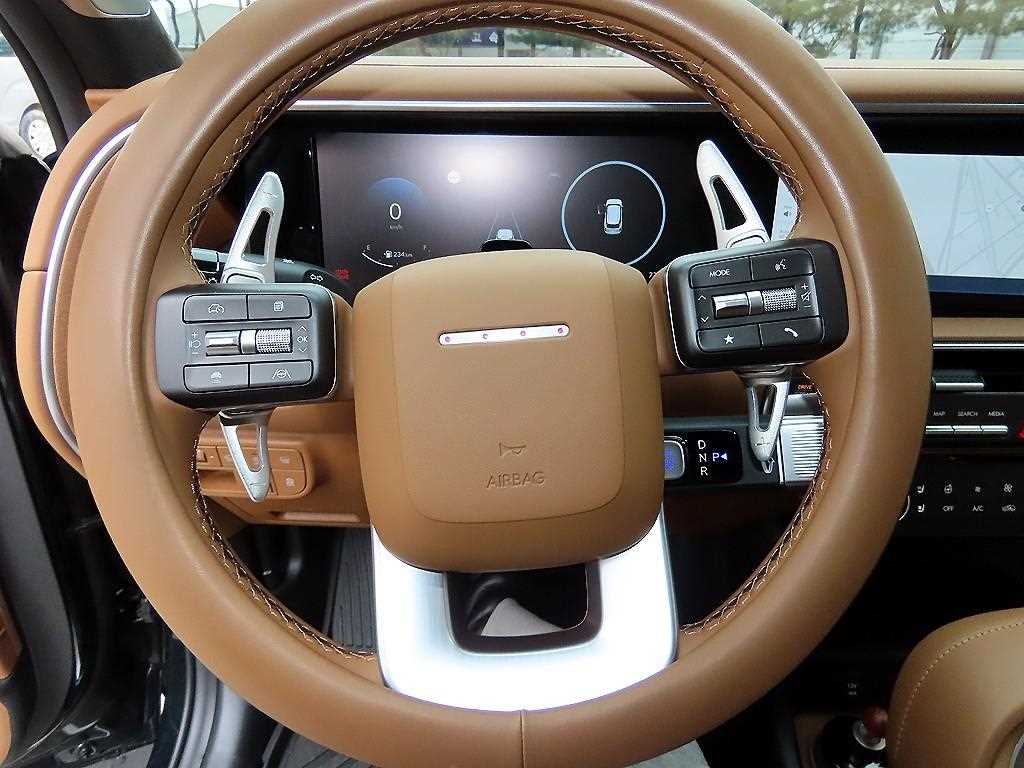 HYUNDAI Palisade - Vista 9