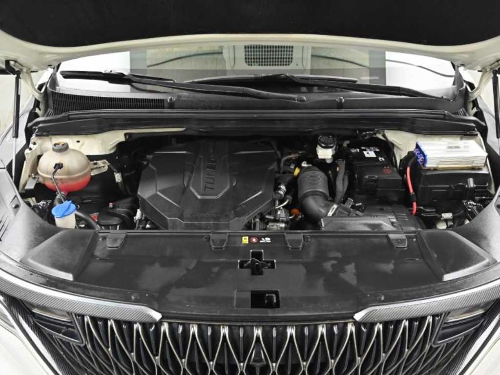 KIA Carnival - Vista 6