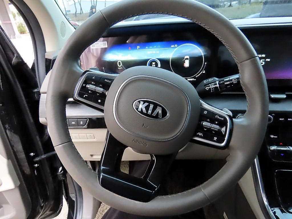 KIA Carnival - Vista 9