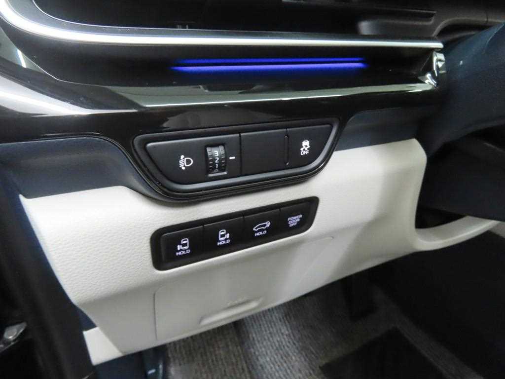 KIA Carnival - Vista 10