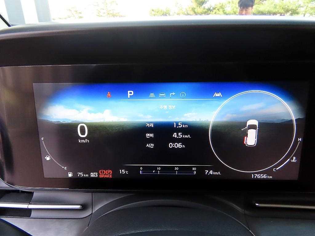 KIA Carnival - Vista 9