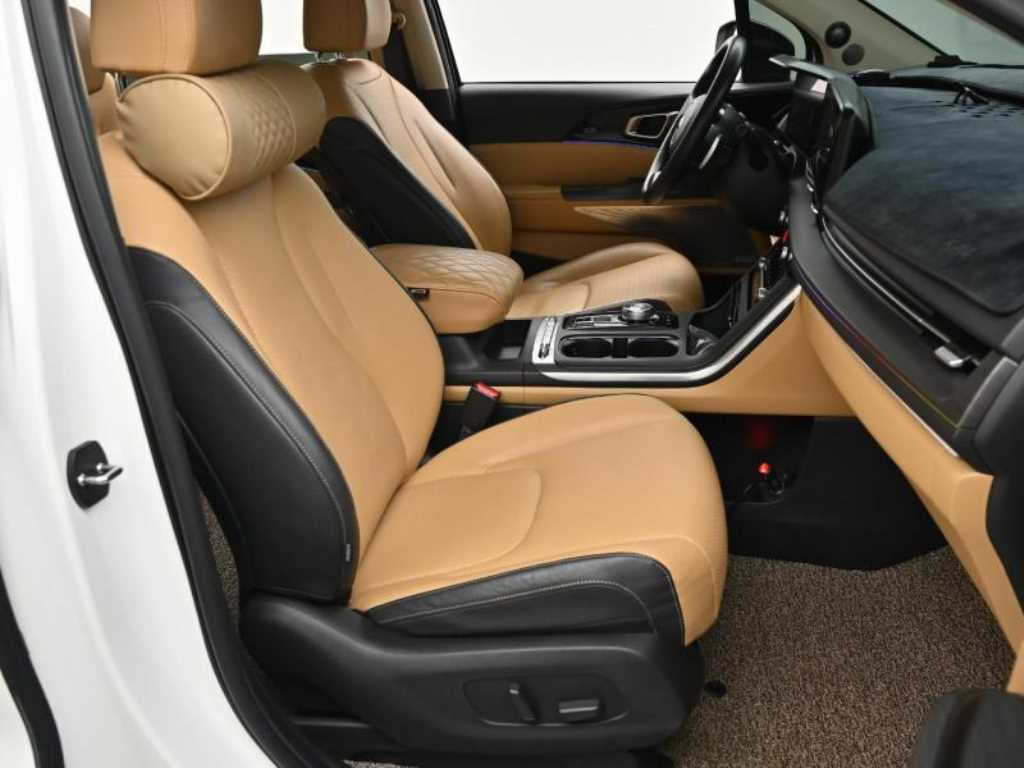 KIA Carnival - Vista 10