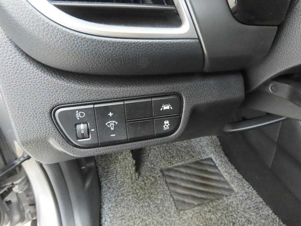 KIA Seltos - Vista 10