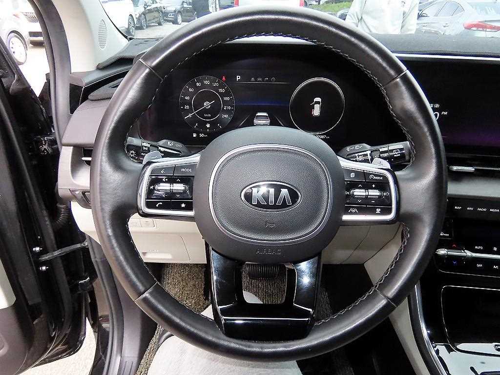 KIA Carnival - Vista 9