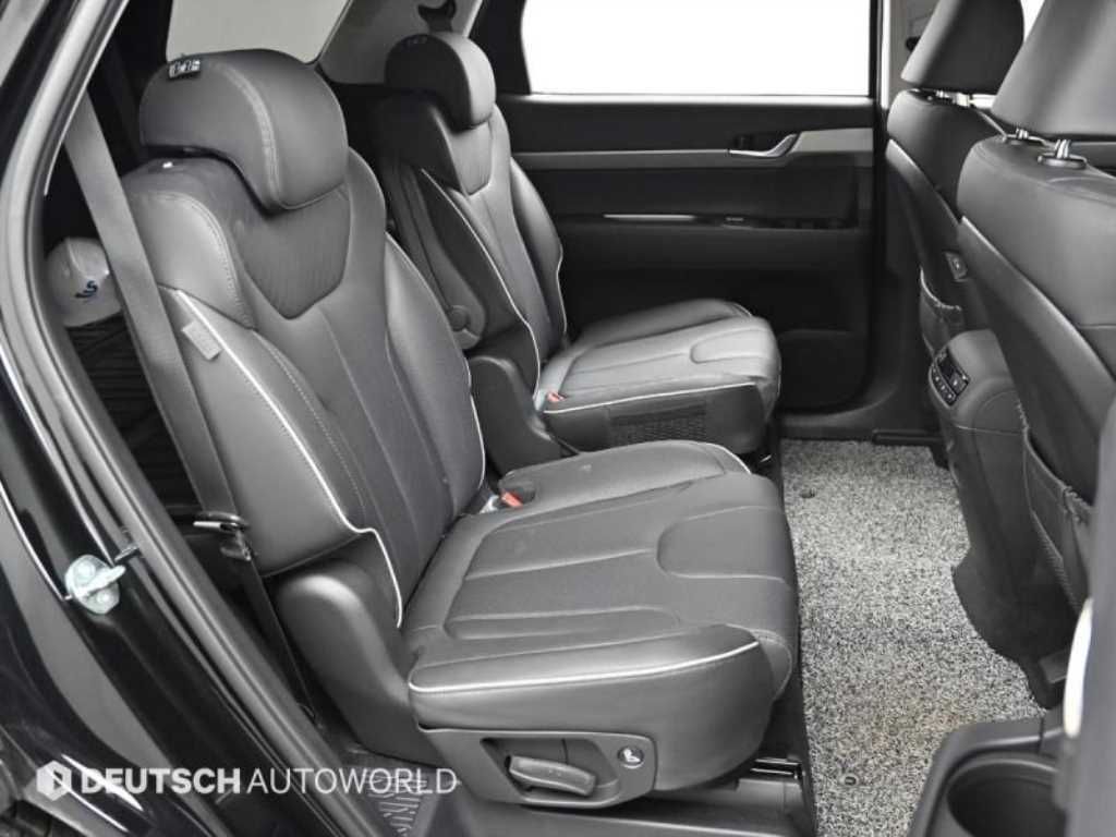 HYUNDAI Palisade - Vista 12