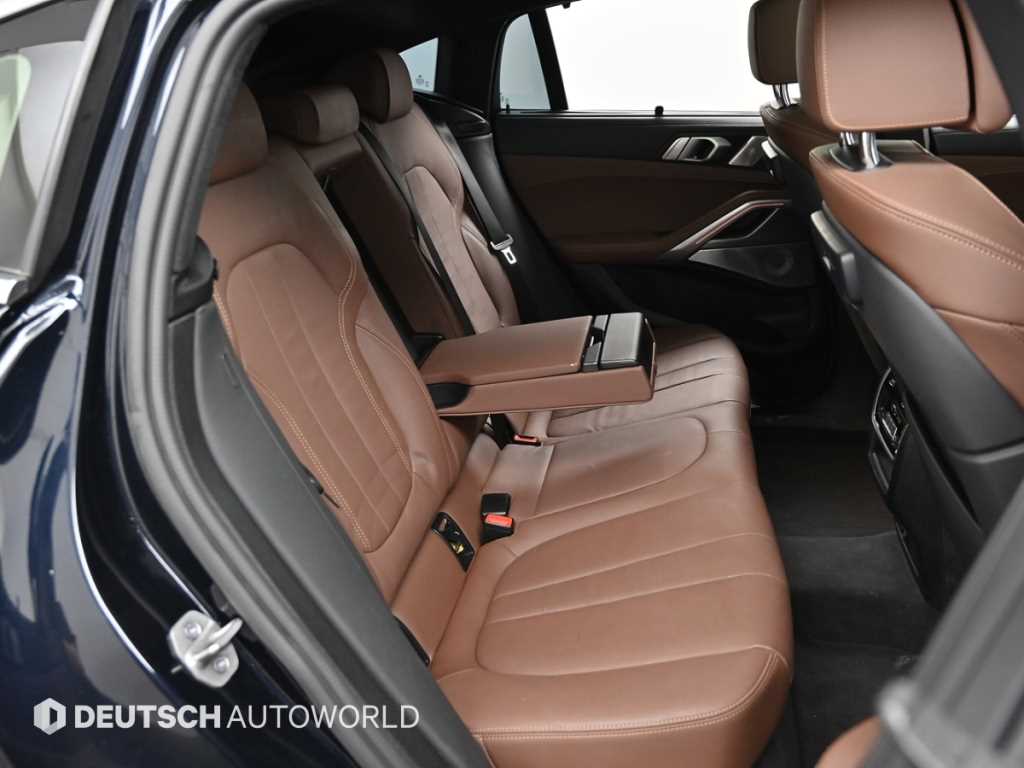 BMW X6 - Vista 12