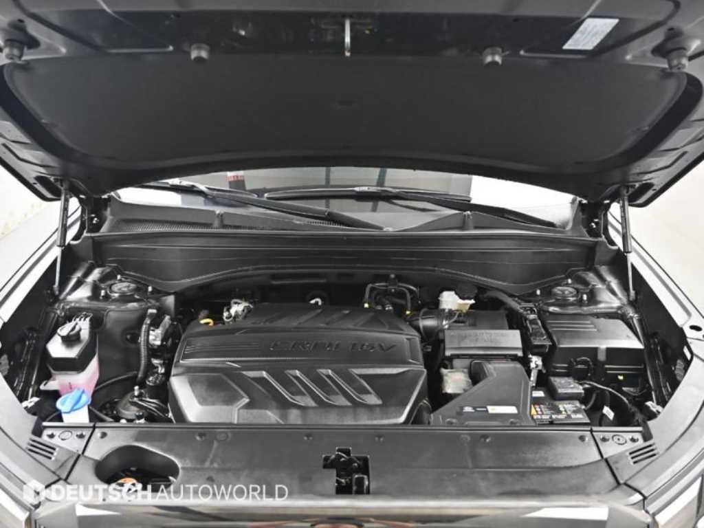 HYUNDAI Palisade - Vista 6