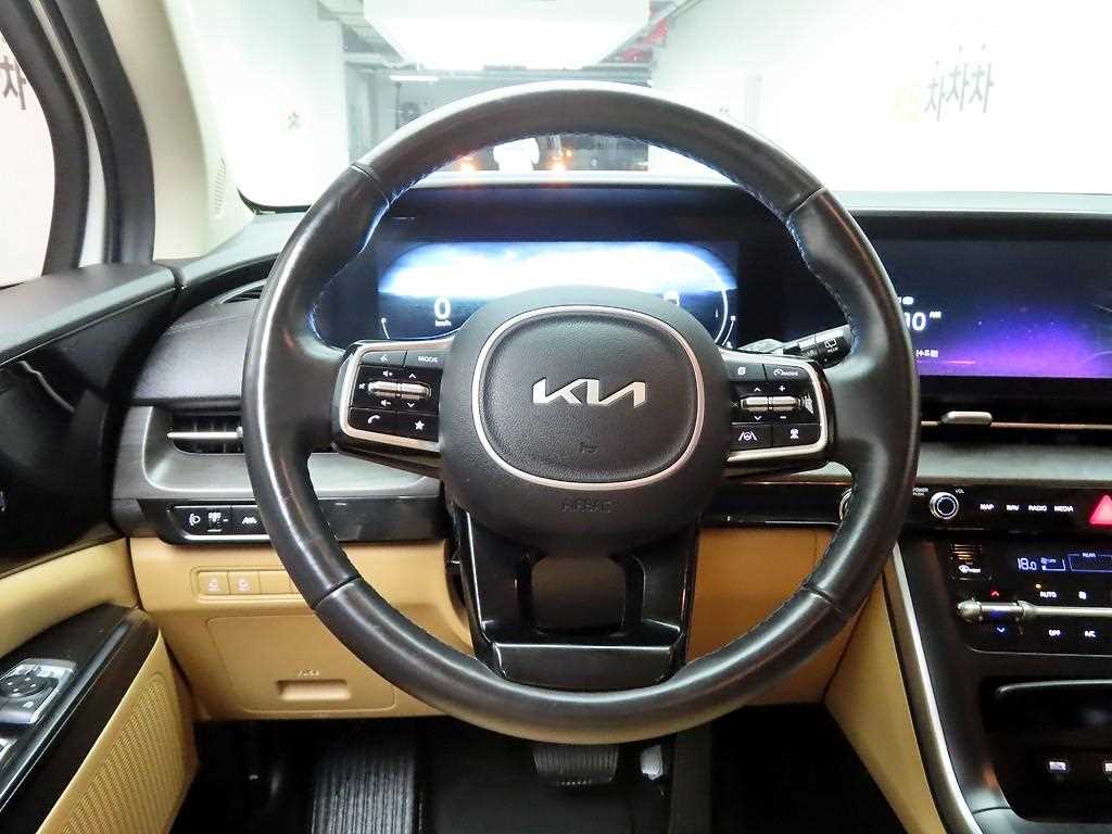 KIA Carnival - Vista 8