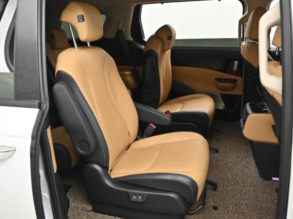 KIA Carnival - Vista 12