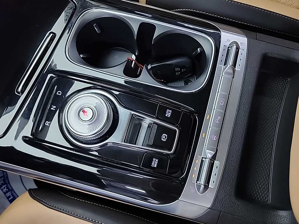 KIA Carnival - Vista 8