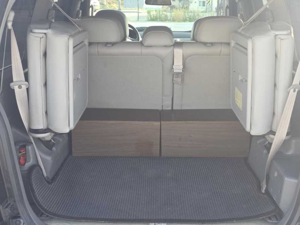 HYUNDAI Terracan - Vista 12