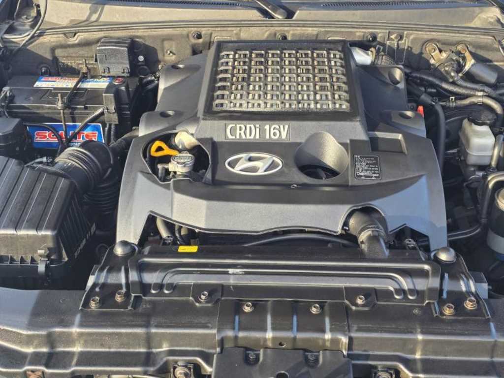 HYUNDAI Terracan - Vista 8