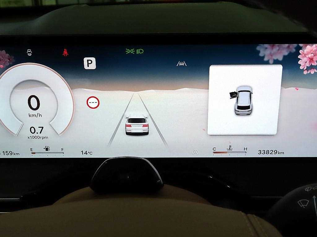 Genesis GV80 - Vista 9