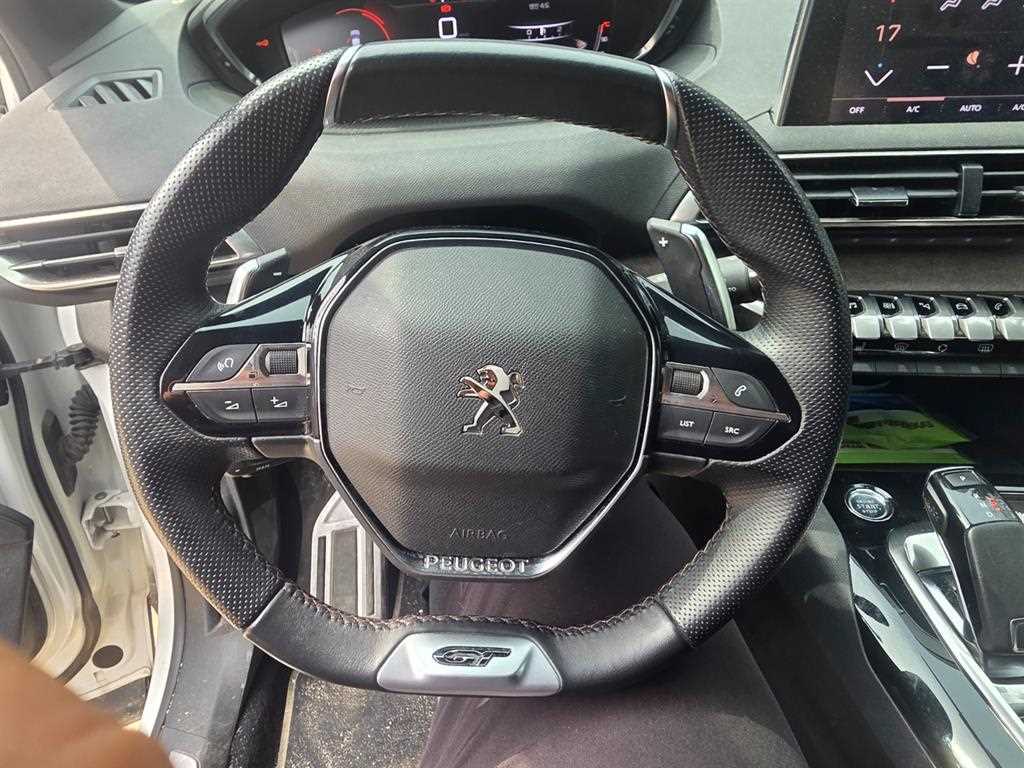 Peugeot 5008 - Vista 11