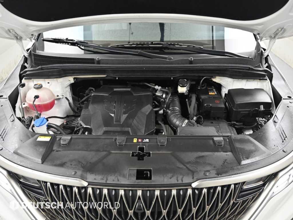 KIA Carnival - Vista 6