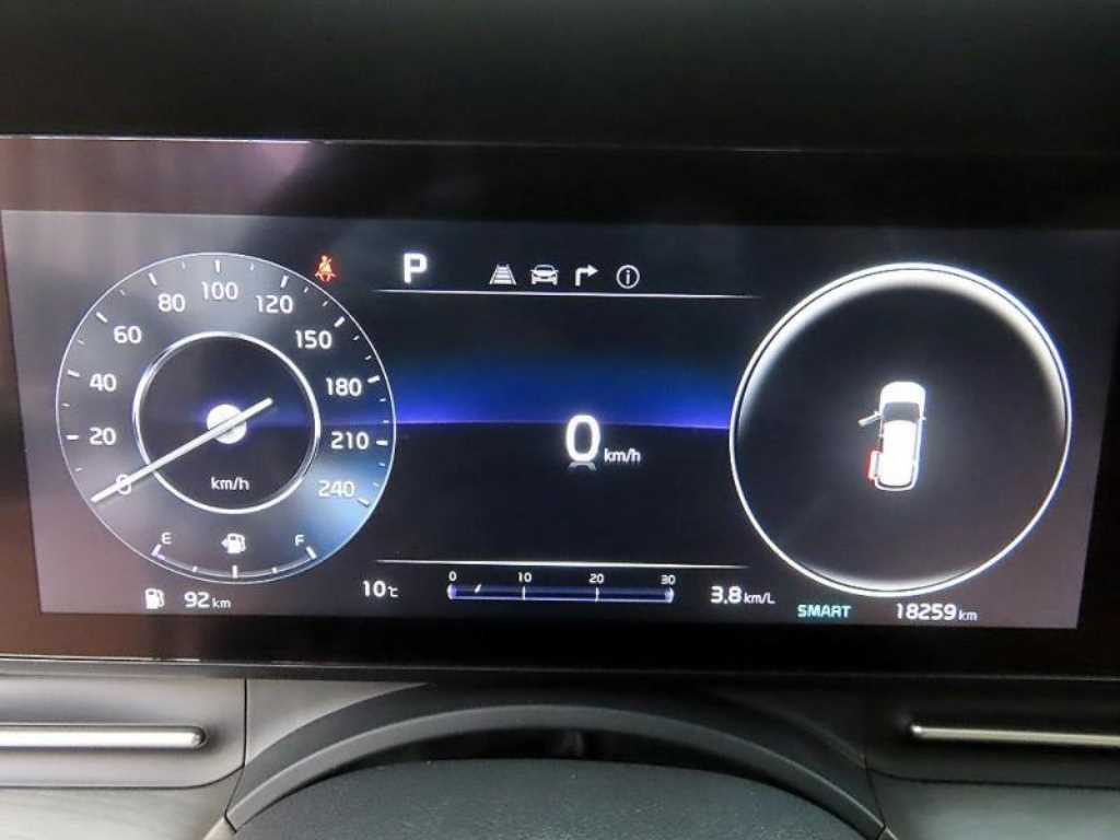 KIA Carnival - Vista 9