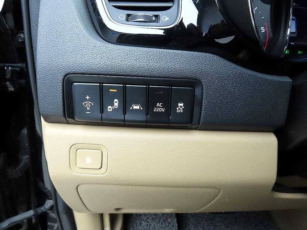 KIA Carnival - Vista 11