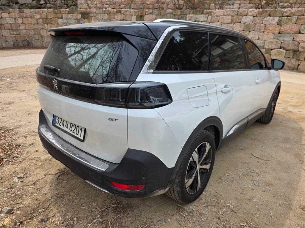 Peugeot 5008 - Vista 6