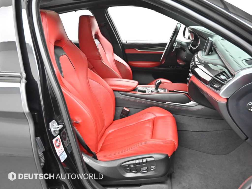 BMW X6 - Vista 10