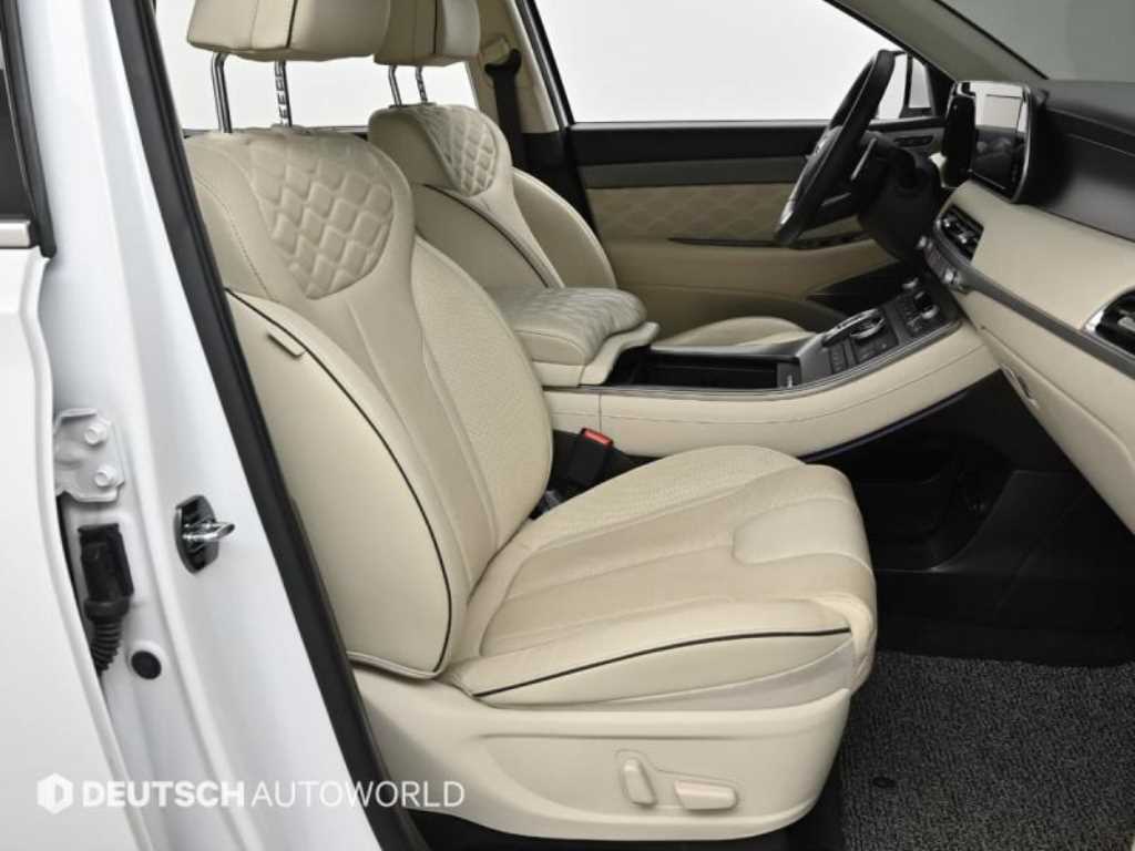 HYUNDAI Palisade - Vista 10