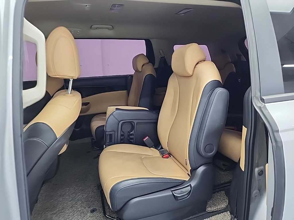 KIA Carnival - Vista 12