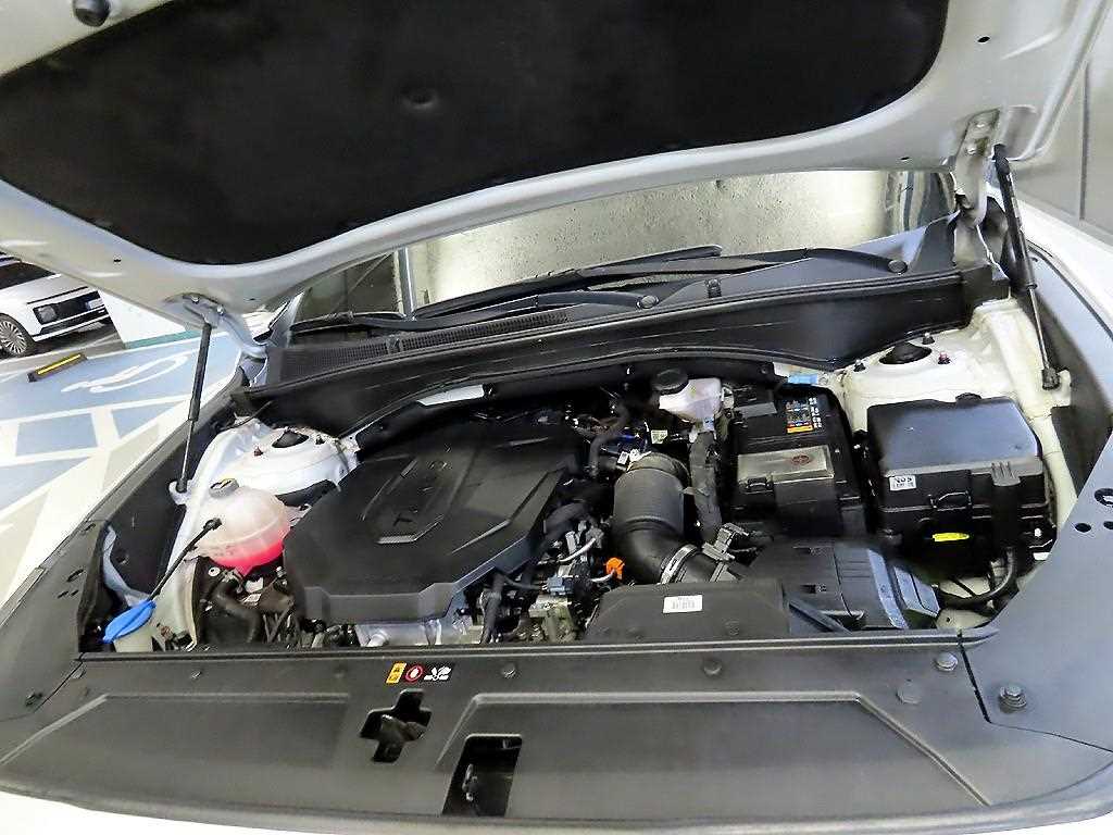 HYUNDAI Santa Fe 2021 Blanco - Importación desde Corea - HF Imports Iquique - Foto 19