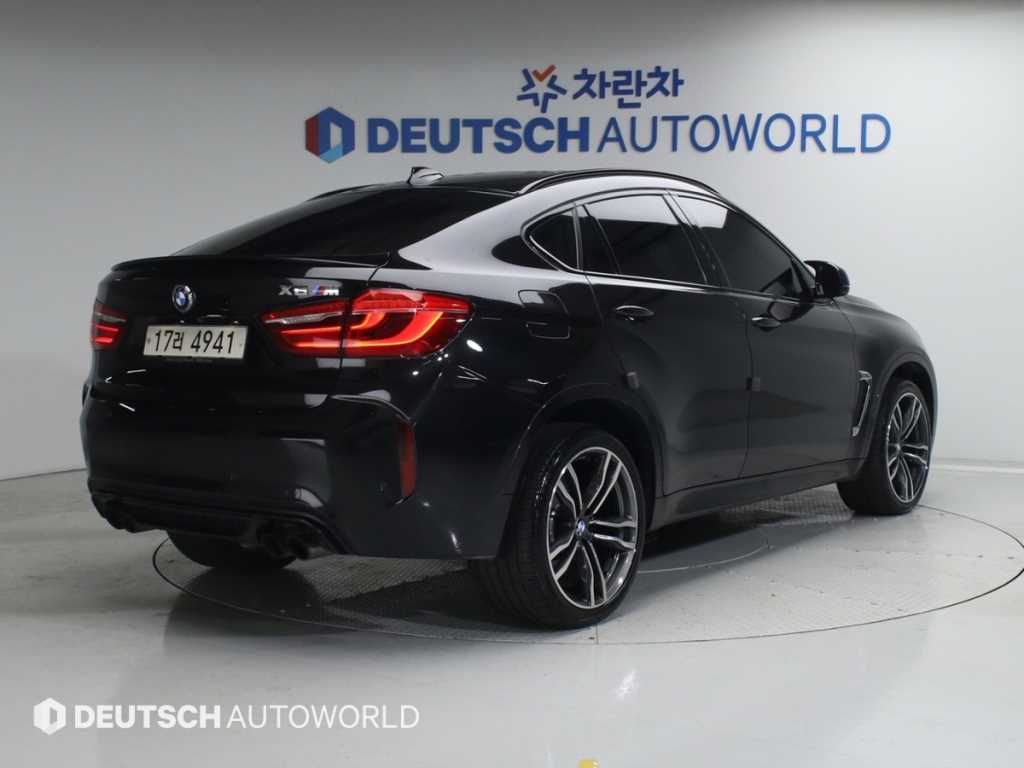 BMW X6 - Vista 2