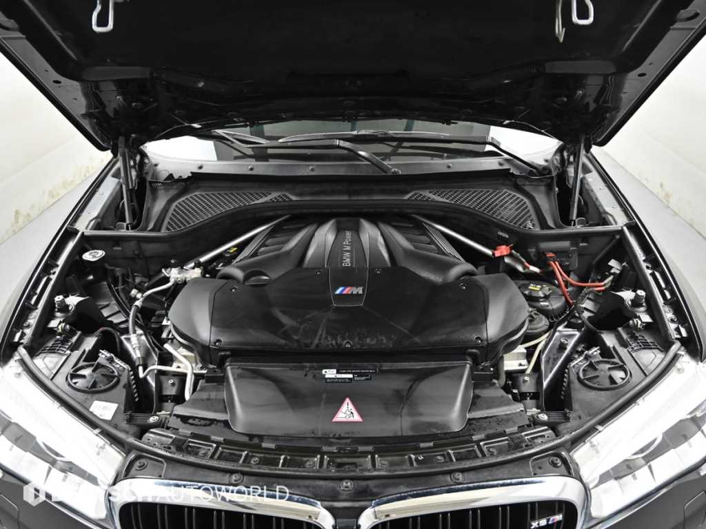 BMW X6 - Vista 6