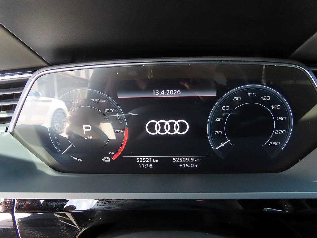 Audi e-Tron - Vista 9