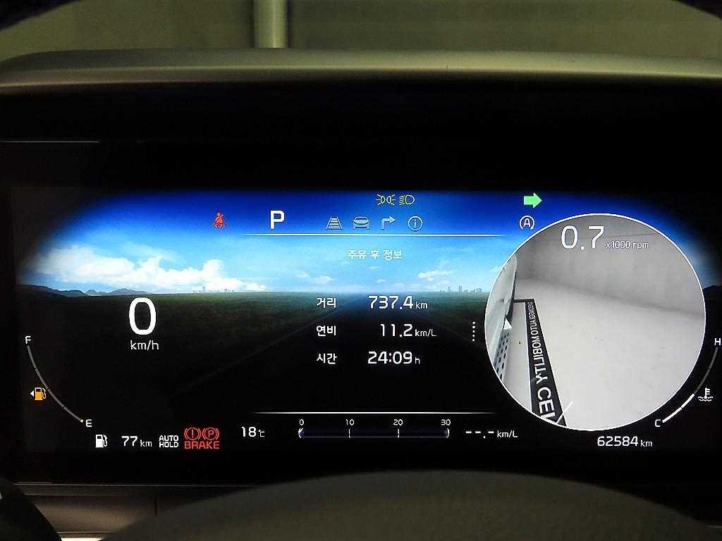 KIA Carnival - Vista 8