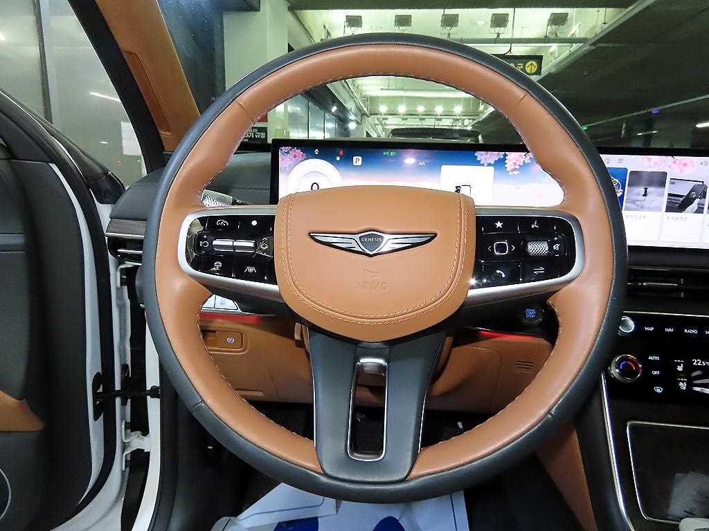Genesis GV80 - Vista 8