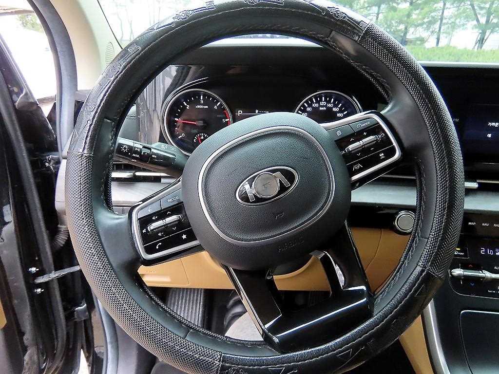 KIA Carnival - Vista 8